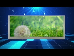 कार मॉनिटर के लिए 10.3 इंच 1280*480 रेजोल्यूशन वाइडस्क्रीन एलसीडी डिस्प्ले