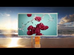 सभी देखने का कोण 10.1 इंच प्रतिरोधी स्पर्श एलसीडी मॉड्यूल